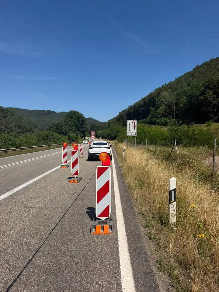 Leitbaken entlang einer Landstraße vor bewaldeten Hängen