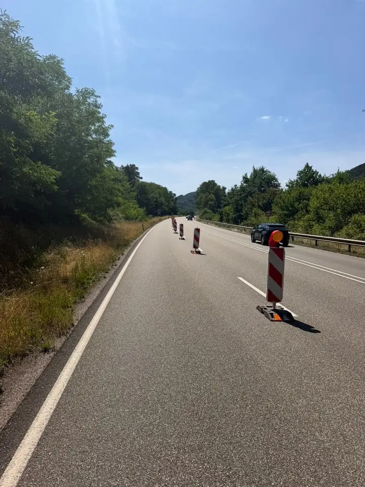 Leitbaken auf einer Landstraße im Pfälzerwald